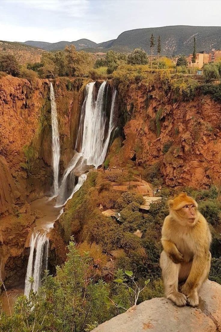 Cascate di Ouzoud